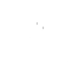 Logo Cittá — Centro Integrado de Tratamento Animal