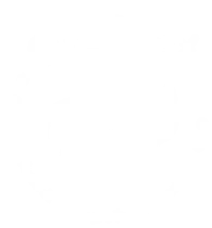 Logo elovet — Escola de Liderança e Oratória Veterinária