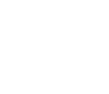 Logo Naimagem Ultrassonografia Veterinária