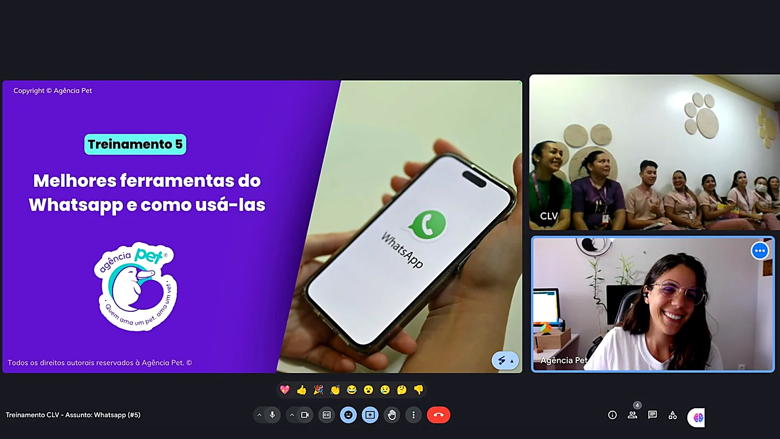 Treinamento online sobre ferramentas do WhatsApp com a equipe de uma clínica