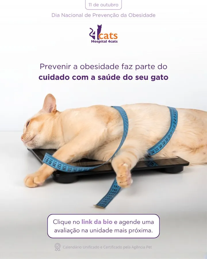 Hospital 4cats — Post do Dia Nacional de Prevenção da Obesidade (11 de outubro)