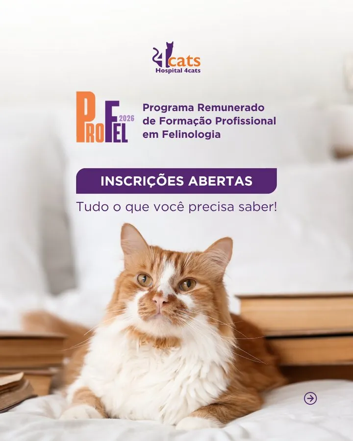 Hospital 4cats — Post de inscrições abertas do ProFel 2026, programa remunerado de formação em felinologia