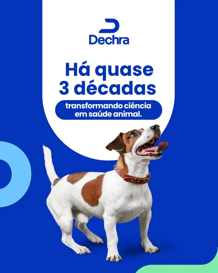 Dechra — Post institucional: há quase 3 décadas transformando ciência em saúde animal