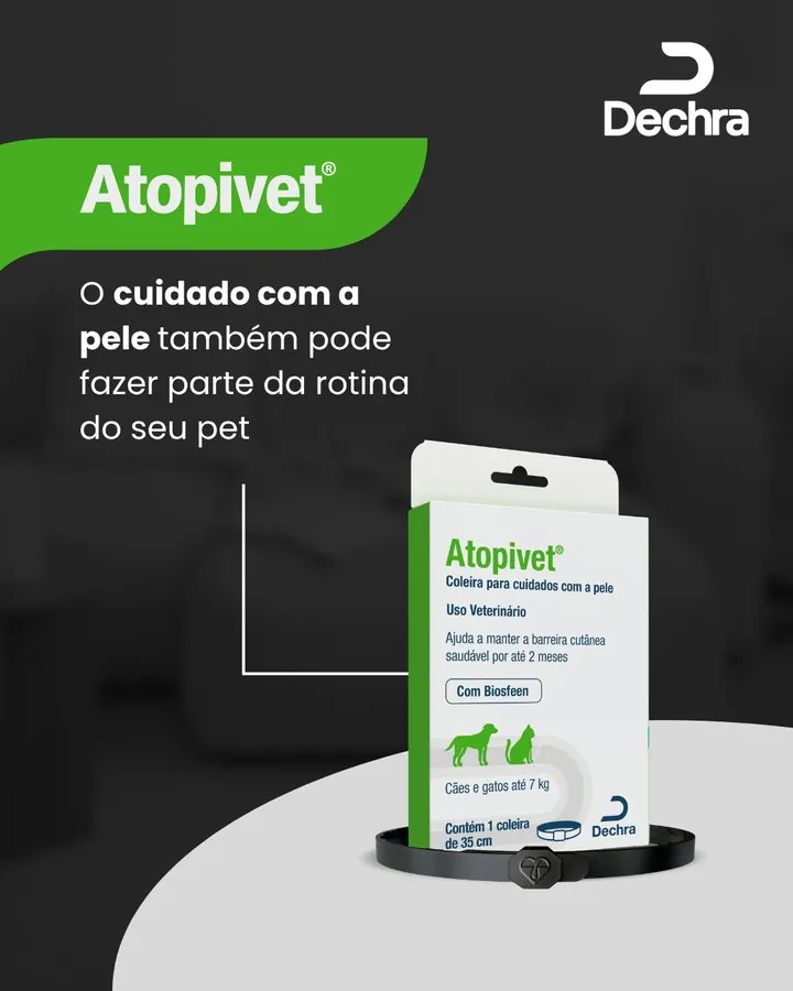 Dechra — Post Atopivet — o cuidado com a pele também faz parte da rotina do pet