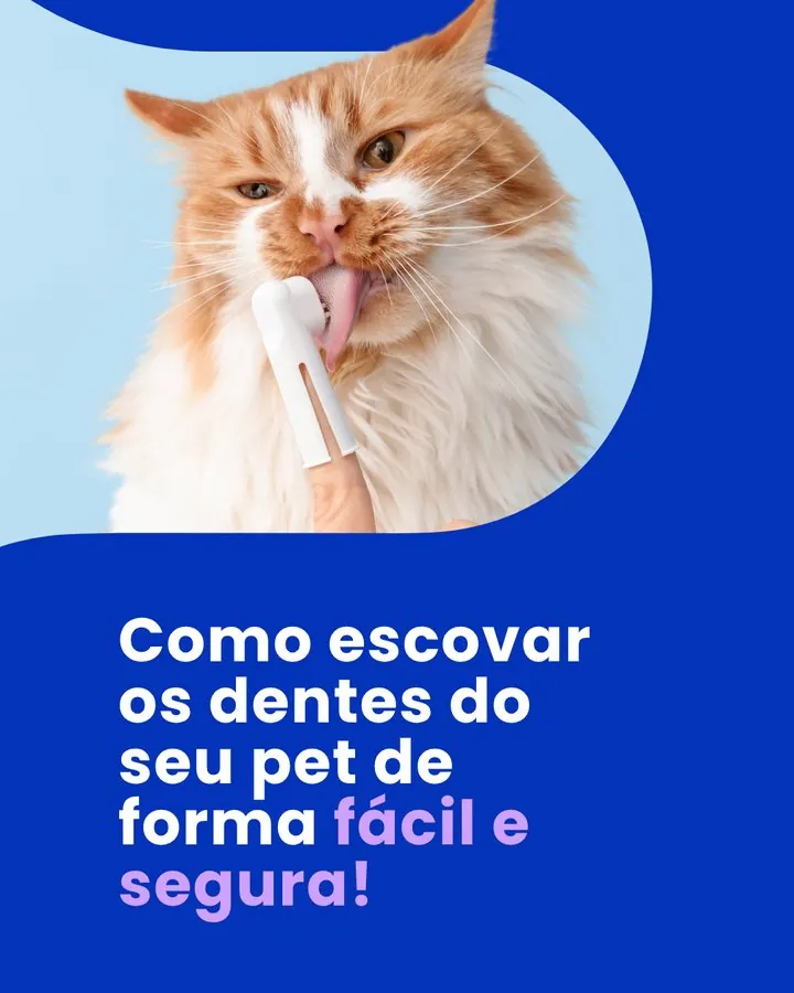 Dechra — Post Vetradent — como escovar os dentes do pet de forma fácil e segura