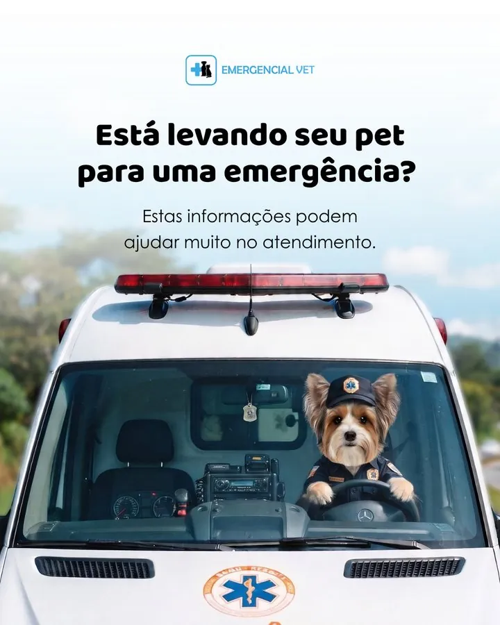 Emergencial Vet — Post: está levando seu pet para uma emergência? Informações que ajudam no atendimento