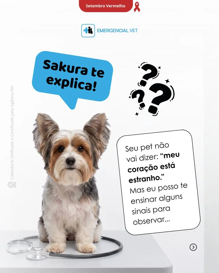 Emergencial Vet — Post Setembro Vermelho: Sakura explica os sinais de problemas cardíacos