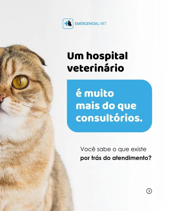 Emergencial Vet — Post: um hospital veterinário é muito mais do que consultórios