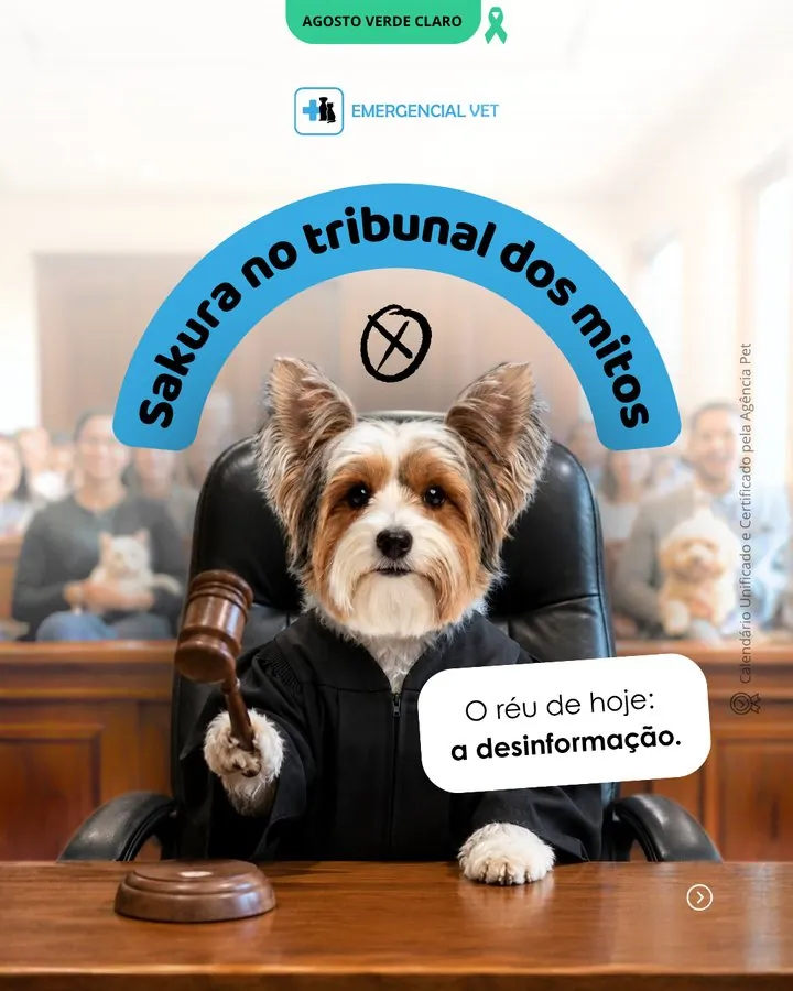 Emergencial Vet — Post Agosto Verde Claro: Sakura no tribunal dos mitos
