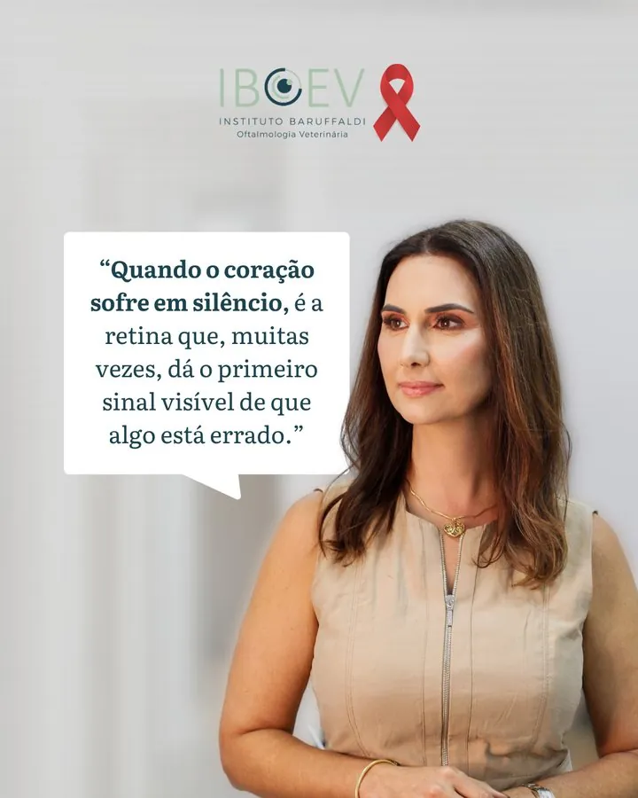IBOEV — Post Setembro Vermelho: a retina dá o primeiro sinal de problemas cardíacos
