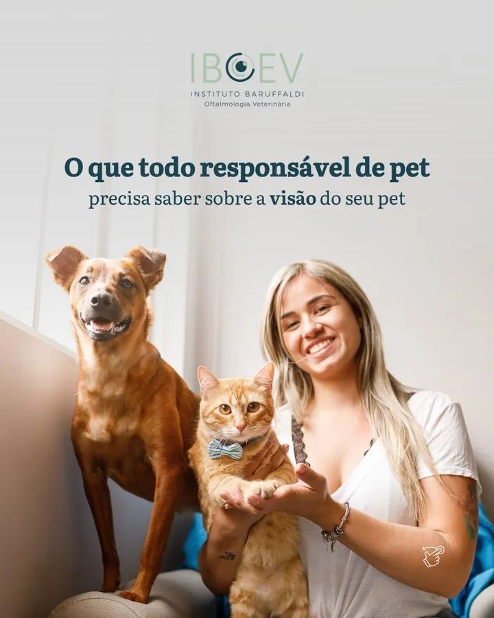 IBOEV — Post: o que todo responsável de pet precisa saber sobre a visão