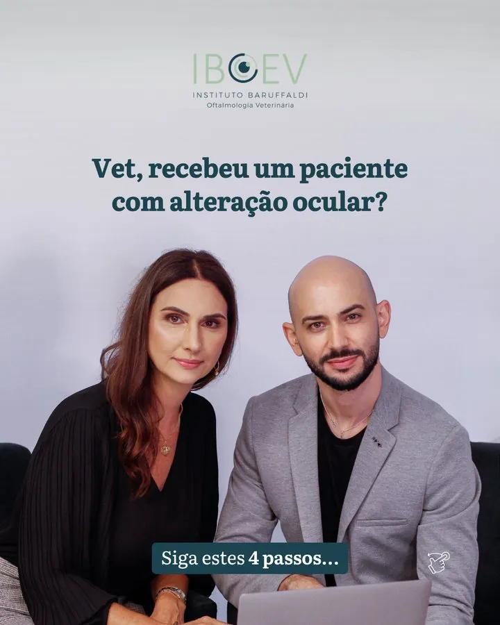 IBOEV — Post para veterinários: recebeu um paciente com alteração ocular? Siga estes 4 passos