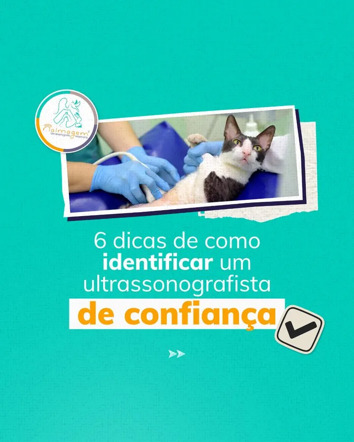 Naimagem — Post com 6 dicas de como identificar um ultrassonografista de confiança