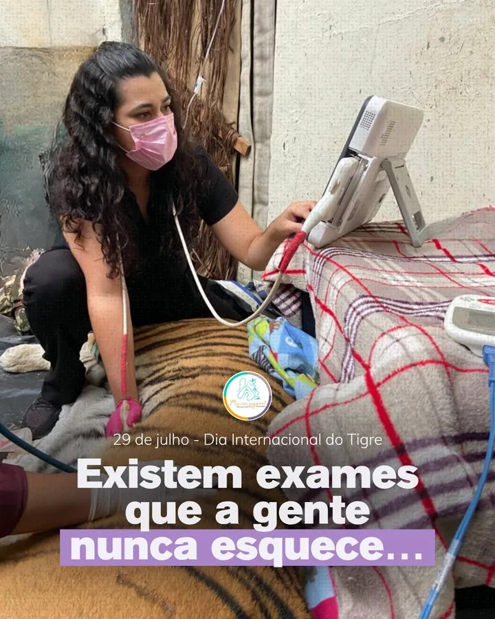 Naimagem — Post do Dia Internacional do Tigre: exames que a gente nunca esquece