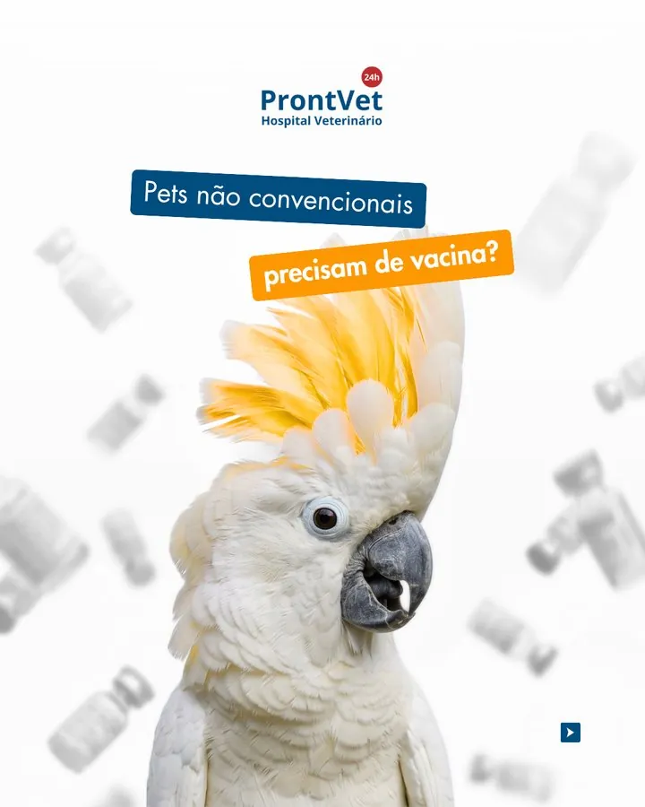 ProntVet — Post: pets não convencionais precisam de vacina?
