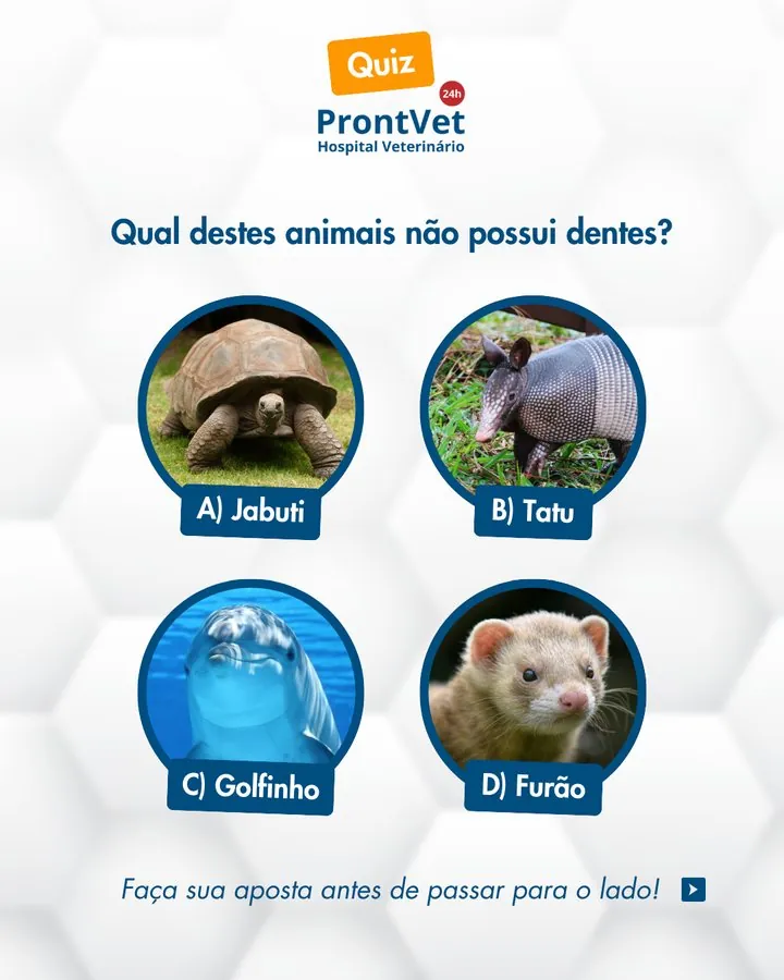 ProntVet — Quiz: qual destes animais não possui dentes?