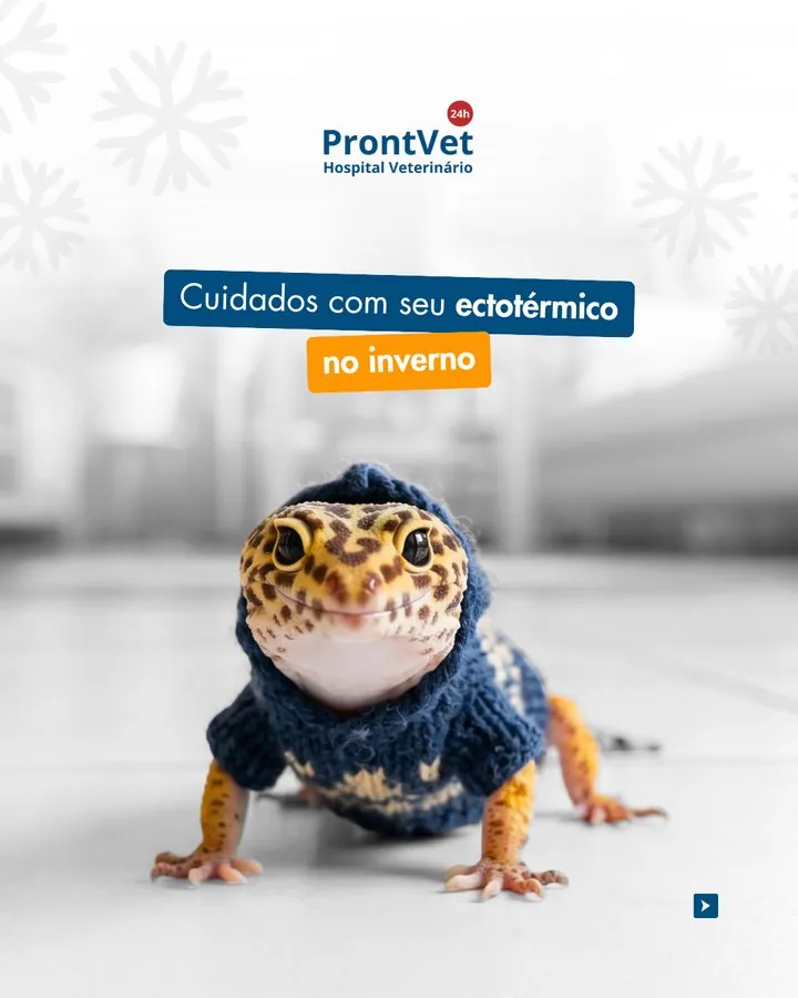 ProntVet — Post sobre cuidados com répteis ectotérmicos no inverno